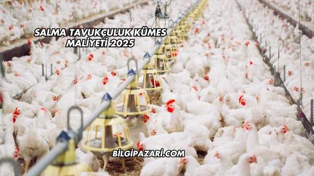 Salma Tavukçuluk Kümes Maliyeti 2025