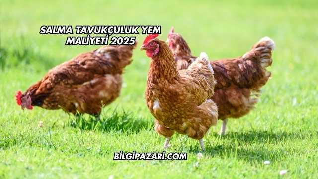 Salma Tavukçuluk Yem Maliyeti 2025