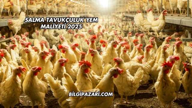 Salma Tavukçuluk Yem Maliyeti 2025