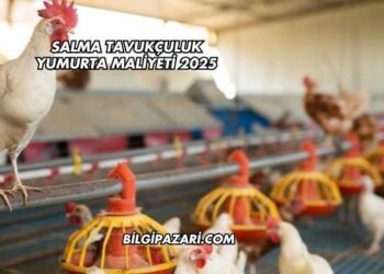 Salma Tavukçuluk Yumurta Maliyeti 2025