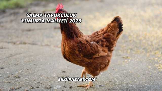 Salma Tavukçuluk Yumurta Maliyeti 2025