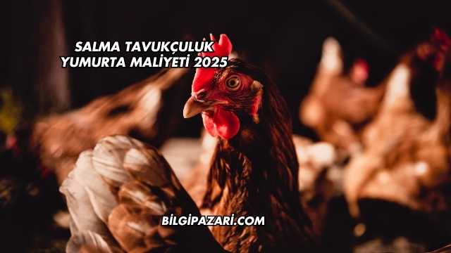 Salma Tavukçuluk Yumurta Maliyeti 2025