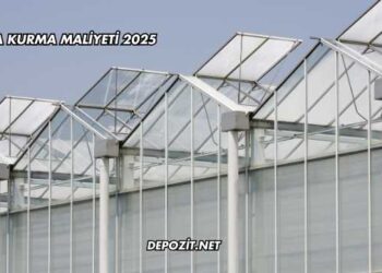 Sera Kurma Maliyeti 2025