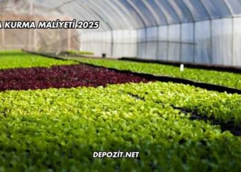 Sera Kurma Maliyeti 2025