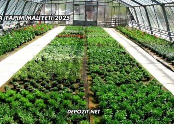 Sera Yapım Maliyeti 2025