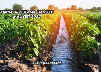 Tarımsal Sulama Havuzu Maliyeti 2025