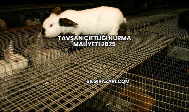 Tavşan Çiftliği Kurma Maliyeti 2025