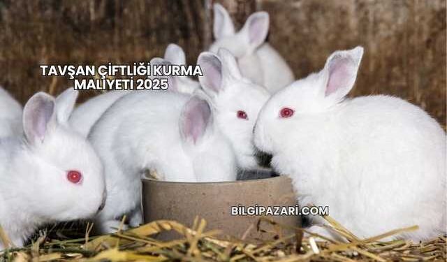 Tavşan Çiftliği Kurma Maliyeti 2025
