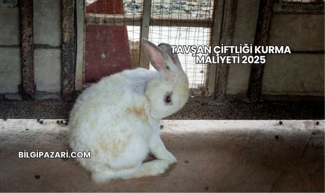 Tavşan Çiftliği Kurma Maliyeti 2025