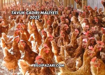 Tavuk Çadırı Maliyeti 2025