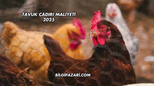 Tavuk Çadırı Maliyeti 2025
