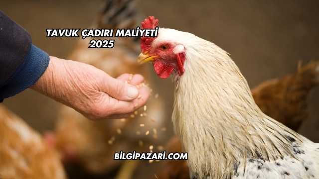 Tavuk Çadırı Maliyeti 2025