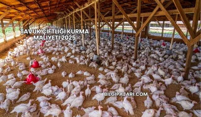 Tavuk Çiftliği Kurma Maliyeti 2025