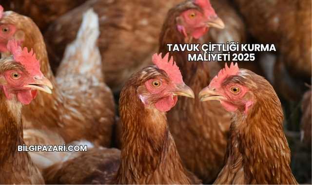 Tavuk Çiftliği Kurma Maliyeti 2025