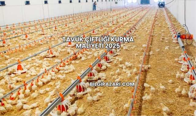Tavuk Çiftliği Kurma Maliyeti 2025