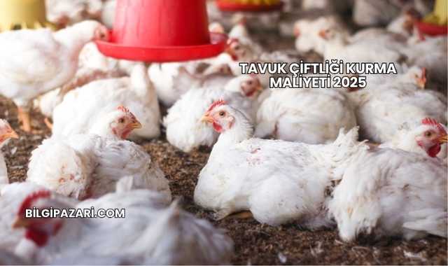 Tavuk Çiftliği Kurma Maliyeti 2025