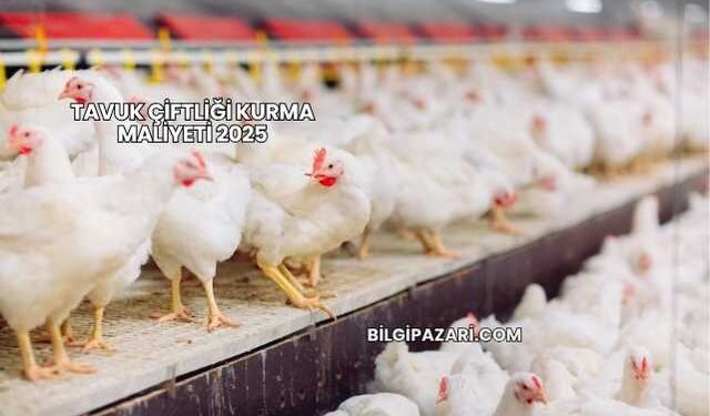Tavuk Çiftliği Kurma Maliyeti 2025