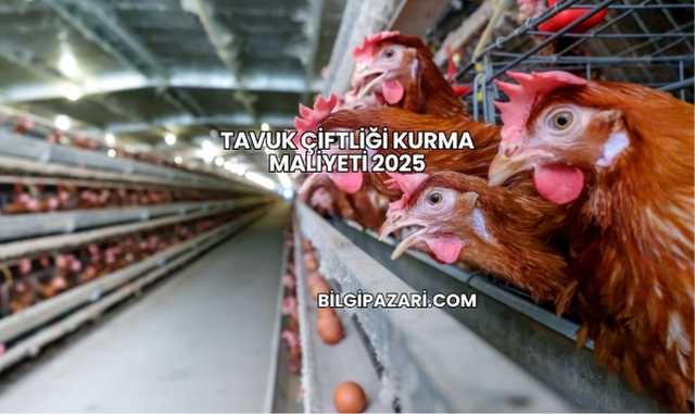 Tavuk Çiftliği Kurma Maliyeti 2025