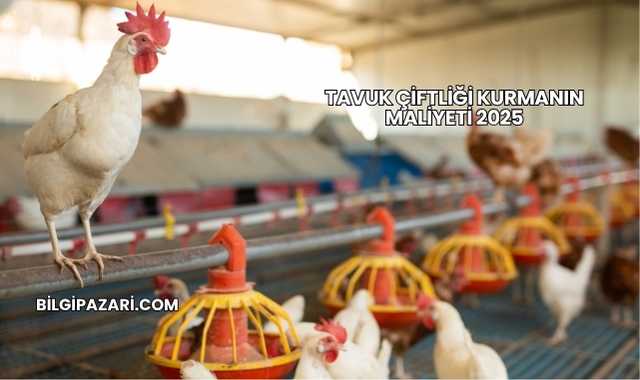 Tavuk Çiftliği Kurmanın Maliyeti 2025
