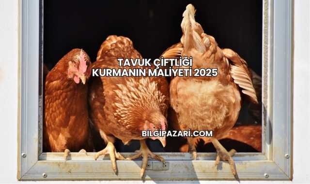 Tavuk Çiftliği Kurmanın Maliyeti 2025