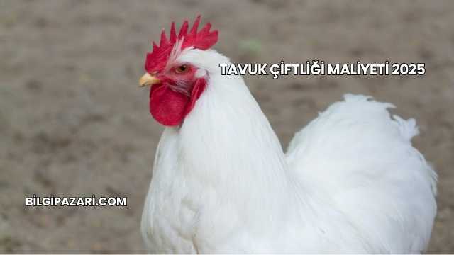 Tavuk Çiftliği Maliyeti 2025