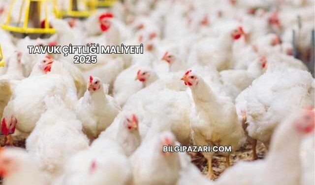 Tavuk Çiftliği Maliyeti 2025