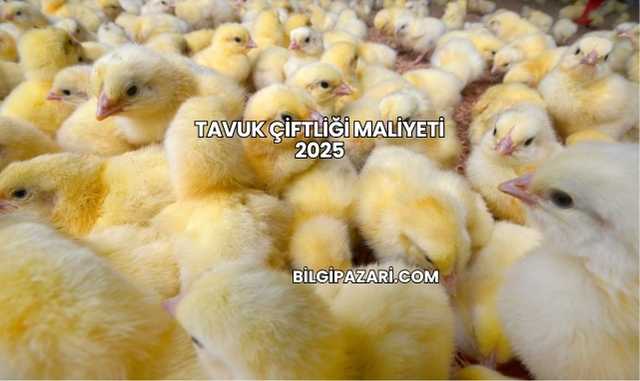 Tavuk Çiftliği Maliyeti 2025