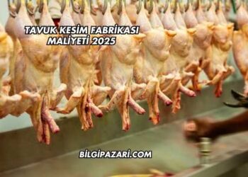Tavuk Kesim Fabrikası Maliyeti 2025