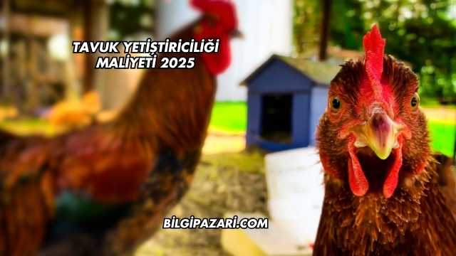 Tavuk Yetiştiriciliği Maliyeti 2025