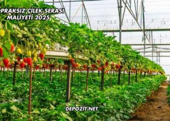 Topraksız Çilek Serası Maliyeti 2025