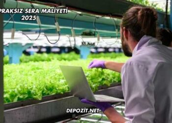 Topraksız Sera Maliyeti 2025