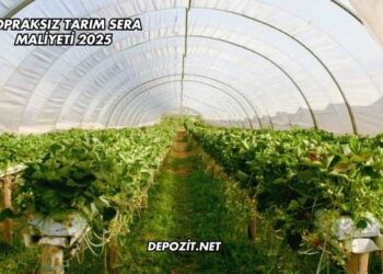 Topraksız Tarım Sera Maliyeti 2025