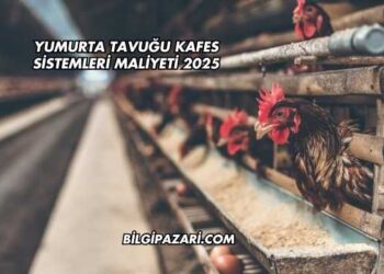Yumurta Tavuğu Kafes Sistemleri Maliyeti 2025