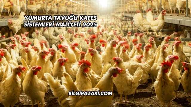 Yumurta Tavuğu Kafes Sistemleri Maliyeti 2025