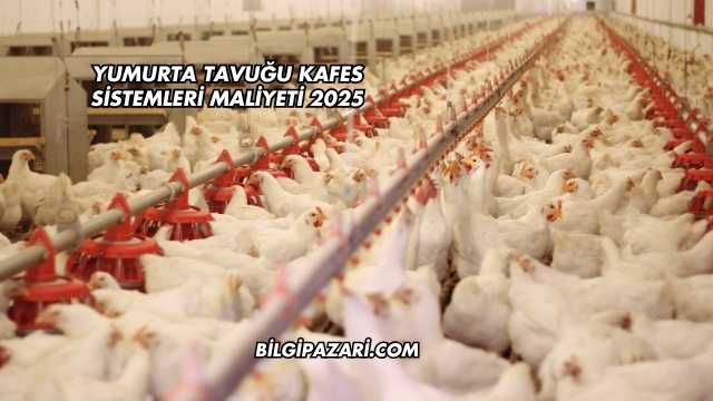 Yumurta Tavuğu Kafes Sistemleri Maliyeti 2025
