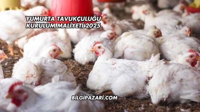 Yumurta Tavukçuluğu Kurulum Maliyeti 2025