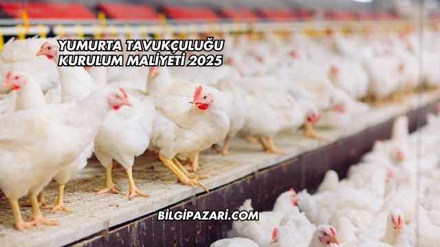 Yumurta Tavukçuluğu Kurulum Maliyeti 2025