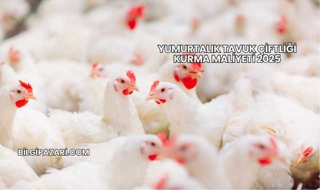 Yumurtalık Tavuk Çiftliği Kurma Maliyeti 2025