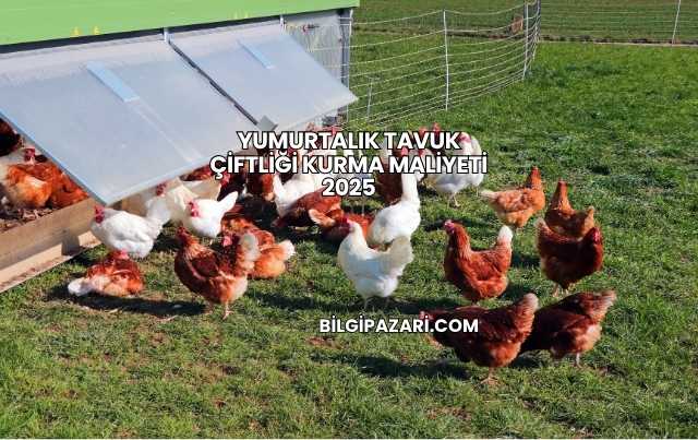 Yumurtalık Tavuk Çiftliği Kurma Maliyeti 2025