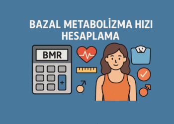 Bazal Metabolizma Hızı Hesaplama
