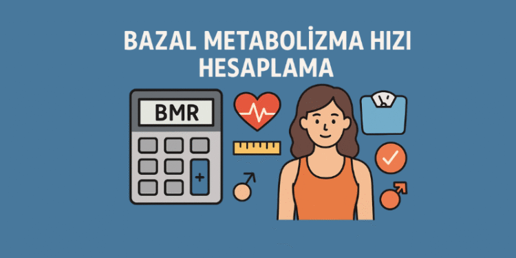 Bazal Metabolizma Hızı Hesaplama