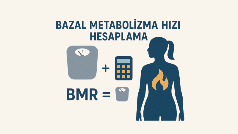 Bazal Metabolizma Hızı Hesaplama