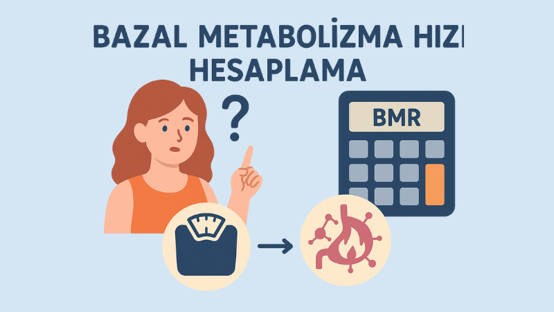 Bazal Metabolizma Hızı Hesaplama
