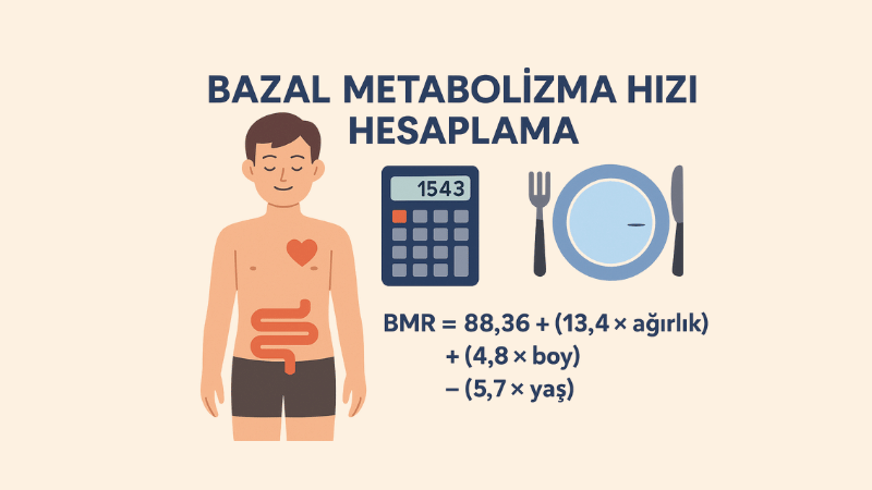 Bazal Metabolizma Hızı Hesaplama