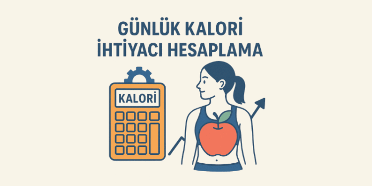 Günlük Kalori İhtiyacı Hesaplama