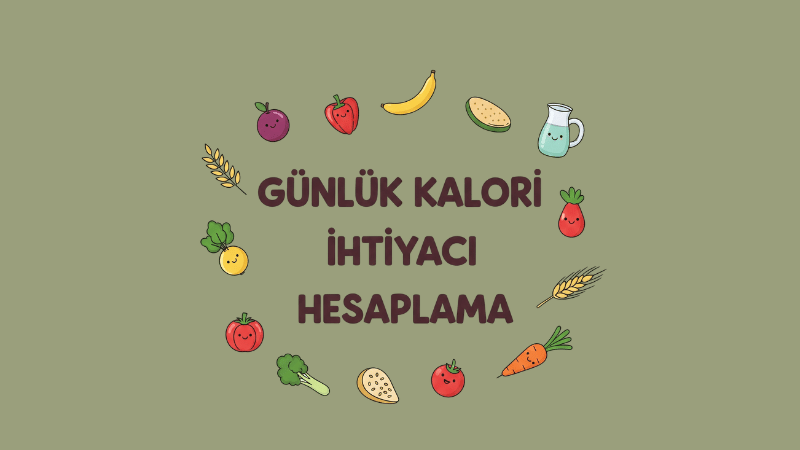 Günlük Kalori İhtiyacı Hesaplama