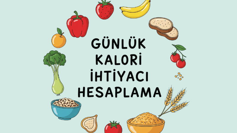 Günlük Kalori İhtiyacı Hesaplama