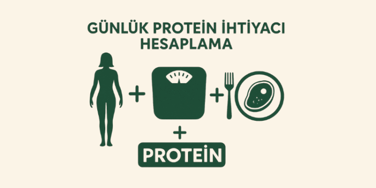 Günlük Protein İhtiyacı Hesaplama
