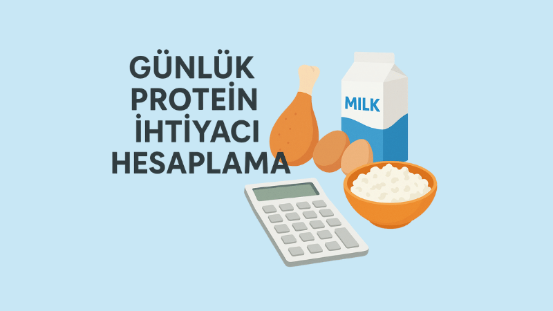 Günlük Protein İhtiyacı Hesaplama