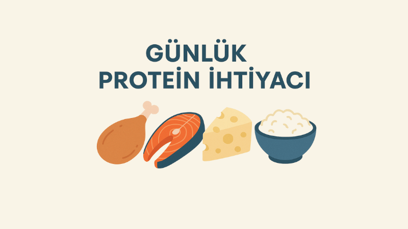 Günlük Protein İhtiyacı Hesaplama